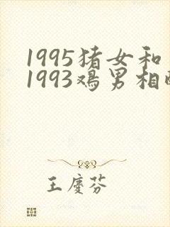 1995猪女和1993鸡男相配婚姻如何