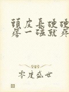 头皮长硬硬的疙瘩一碰就疼