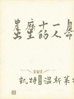 农历十一月初三出生的人命运