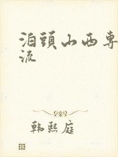 泊头山西专线物流