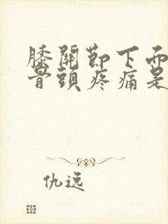 膝关节下面凸起骨头疼痛是怎么回事