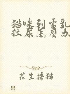 猫咪到处乱拉屎拉尿怎么办