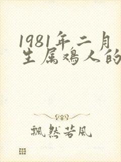 1981年二月生属鸡人的命运