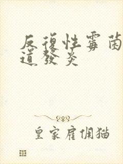 反复性霉菌性阴道发炎