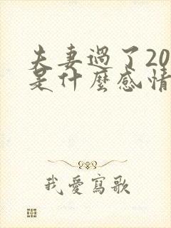 夫妻过了20年是什么感情