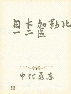 日本加勒比视频一二区