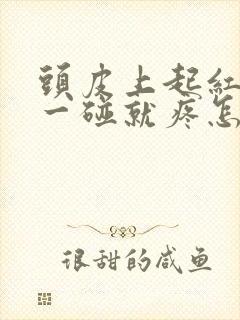 头皮上起红疙瘩一碰就疼怎么回事封面