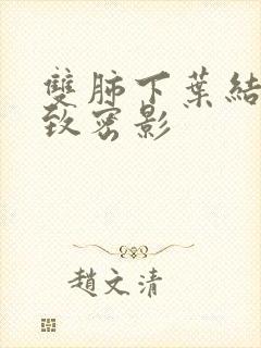 双肺下叶结节状致密影