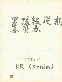 男孩叛逆期严重怎么办