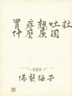 胃疼想吐拉肚是什么原因