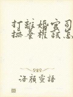 打离婚官司孩子抚养权该怎么判