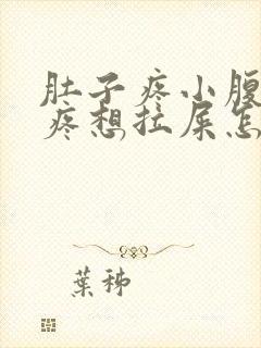 肚子疼小腹下坠疼想拉屎怎么回事