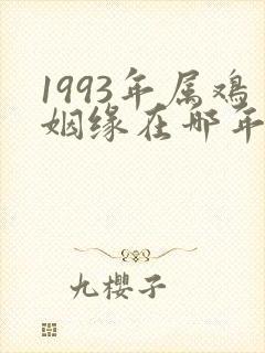 1993年属鸡姻缘在哪年最旺盛