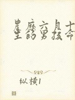 农历六月十八出生的男孩命运封面