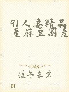 91人妻精品国产麻豆国产网站