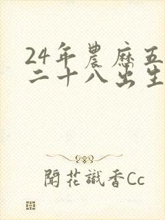 24年农历五月二十八出生男孩命运如何