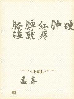 胳膊红肿硬块一碰就疼