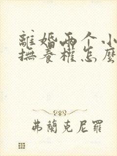 离婚两个小孩子抚养权怎么判定