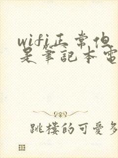 wifi正常但是笔记本电脑无法上网