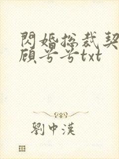 闪婚总裁契约妻顾兮兮txt