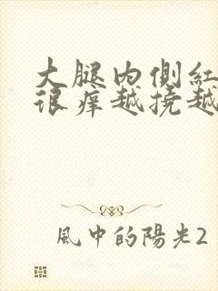 大腿内侧红疙瘩很痒越挠越痒