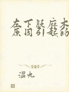 左下肢麻木什么原因引起的