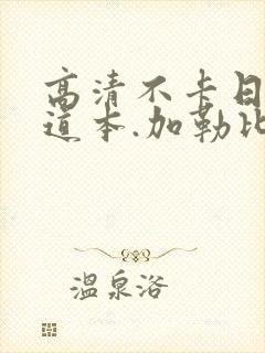 高清不卡日本一道本.加勒比