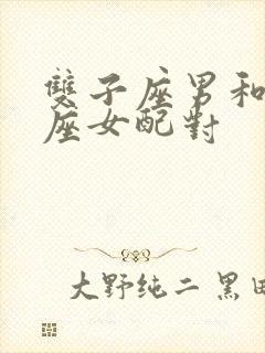 双子座男和水瓶座女配对