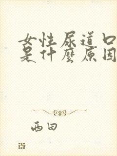 女性尿道口肿痛是什么原因