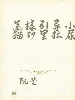 怎样引导小猫去猫砂里拉尿