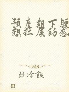 预产期下腹坠胀想拉屎的感觉