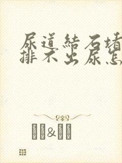 尿道结石堵住了排不出尿怎么办