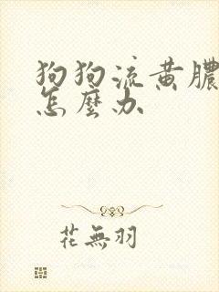 狗狗流黄脓鼻涕怎么办封面