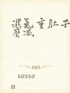 湿气重肚子大怎么减封面