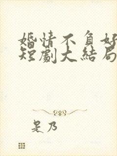 婚情不负好春光短剧大结局