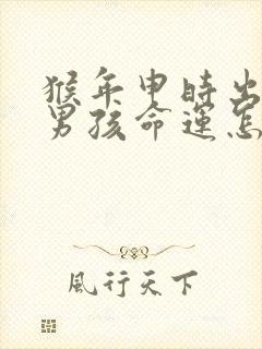 猴年申时出生的男孩命运怎么样