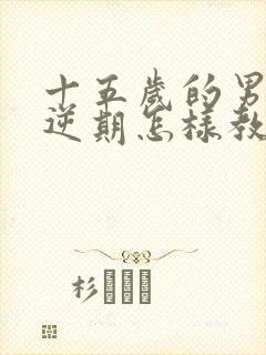 十五岁的男孩叛逆期怎样教育