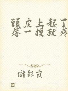 头皮上起了个疙瘩一摸就疼