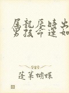 属龙辰时出生的男孩命运如何封面