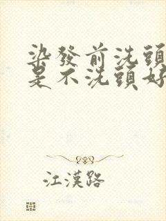 染发前洗头好还是不洗头好呢