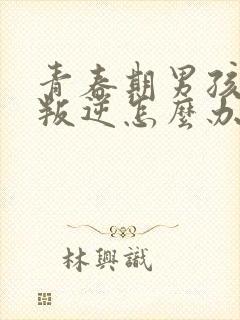 青春期男孩严重叛逆怎么办