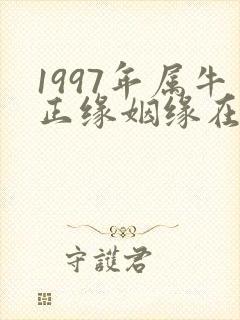 1997年属牛正缘姻缘在哪年