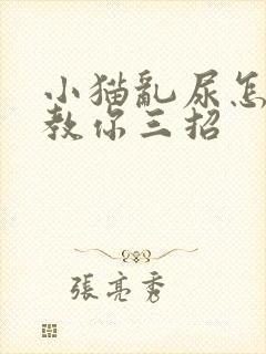 小猫乱尿怎么办教你三招