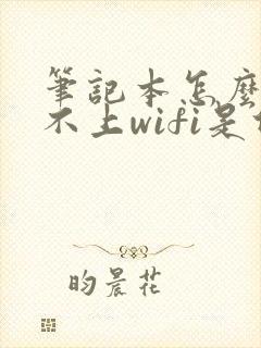 笔记本怎么连接不上wifi是什么原因