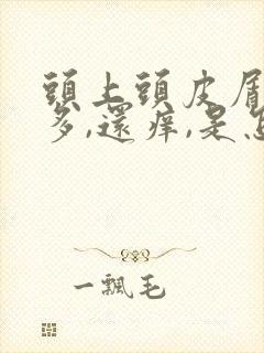 头上头皮屑非常多,还痒,是怎么回事