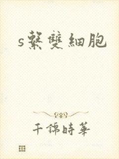 s系双细胞