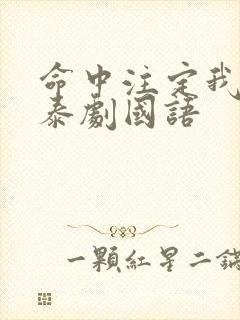 命中注定我爱你泰剧国语