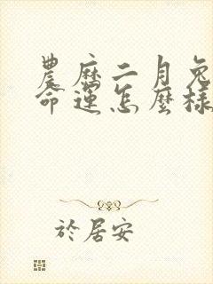 农历二月兔男的命运怎么样