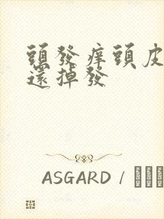 头发痒头皮屑多还掉发