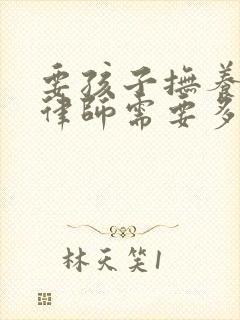 要孩子抚养权请律师需要多少钱